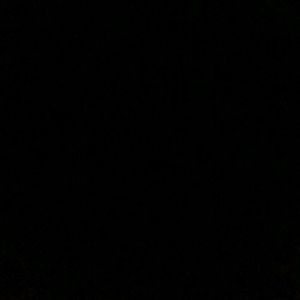 Meet your Posher, Drew